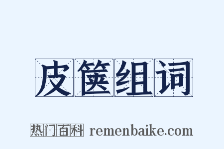 皮箧组词是什么意思的图片